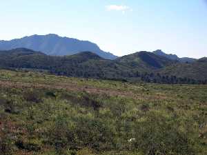 Paisaje con la Sierra del Algarrobo