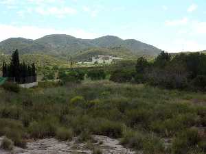 Sierra del Algarrobo desde El Saladillo