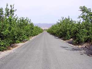 Camino de Aguaderas