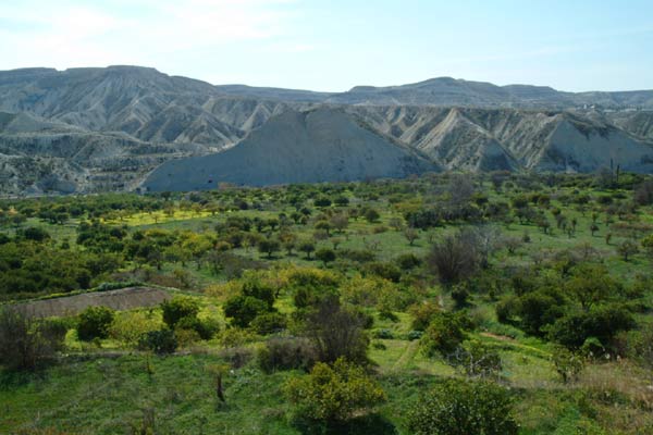 Panorámica del paisaje del municipio de Campos del Río con los bad lands al fondo