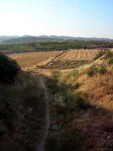 Vista desde la parte alta de Corvera