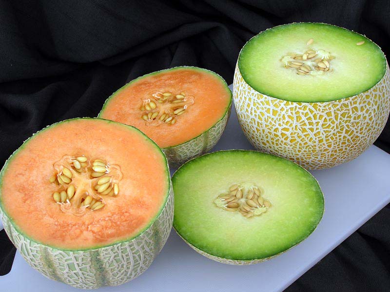 Melones Galia y Cantaloup[Carrascoy]