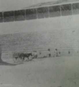La plaza de toros de Cehegn a principios del siglo XX