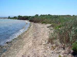 Playa del Mar Menor en las cercanas de Rame 