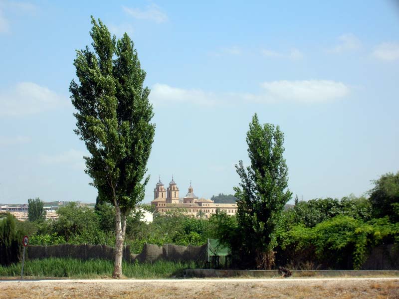 Vista de los Jernimos desde La Raya [La Raya]. 