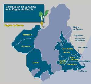 Zonas de producci�n 
