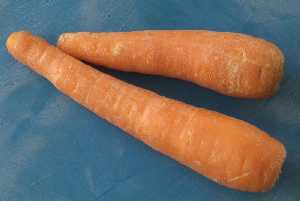 Zanahoria en detalle 