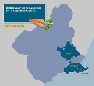 Zonas de producci�n 