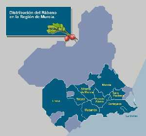 Zonas de producci�n 