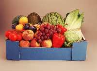 Caja de frutas [Frutas y Ctricos]