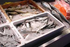 Variedades de pescado del Mar Mediterrneo 