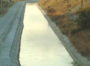 El Canal del Trasvase Tajo-Segura, fuente de riqueza para la agricultura 