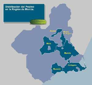 Zonas de producci�n 