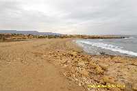 Figura 3. Playa del Sombrerico, pudindose observar al fondo la costa rocosa baja caracterstica del tramo