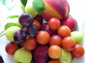 Frutas variadas [Carlota]