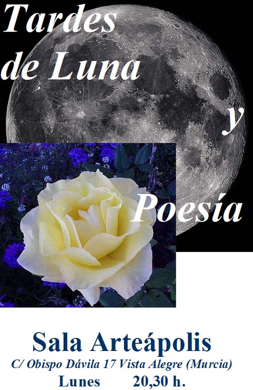 Tardes de Luna y Poesía. 