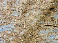 Detalle de los mrmoles del Cabezo Gordo. Se conserva la estratificacin original, que est marcada por la existencia de niveles arenosos con cantos de arena gruesa y de niveles de moscovita