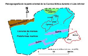 Figura 2: Reconstruccin paleogeogrfica durante el Las inferior (Jursico inferior) de las Zonas Externas de la Cordillera Btica, basada en Azema, J. et al. (1979).