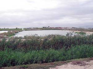 Lagunas de Campotjar, en Molina de Segura