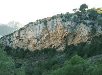 Ejemplo de un espectacular pliegue-falla en rocas del Palegeno del monte del Perro. Sierra de la Pila