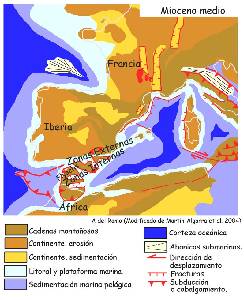 Figura 2: Reconstruccin paleogeogrfica del Mediterrneo occidental durante el Mioceno superior, basada en la modificacin de Martn-Algarra et al. (2004) de Ziegler (1988). En Vera, J. A. (2004)
