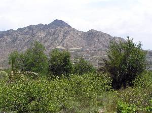 Huertos y Sierra de Abanilla 
