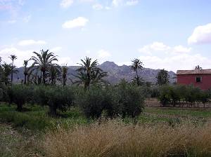 Vista de la Sierra de Abanilla 