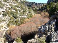 Arroyo Tercero (Moratalla). Un bello ejemplo de los mares del Mioceno, fallas, desprendimientos, agua y paisaje