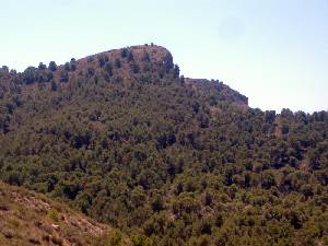 Detalle de la Sierra de la Almenara en Mazarrn 