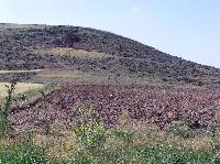 Cerro de El Moral