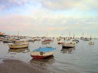 Barcos de pesca cerca de San Pedro del Pinatar [Langostinos del Mar Menor]