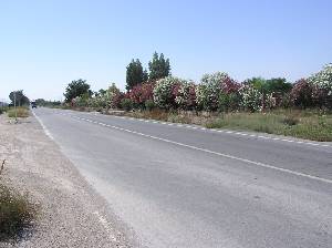 Carretera a Raiguero 