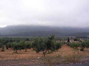 Sierra de Burete 
