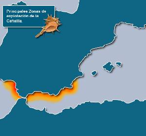 Zonas de Explotaci�n [Ca�a�llas]