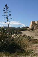 Castillo de Nogalte
