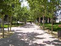 El parque de la Constitucin en 2006