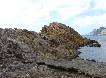 El Espig�n