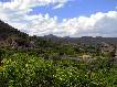 Huerta de la Sierra del Oro