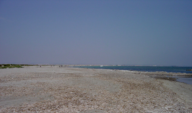 Vista de la Playa. 