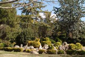 Jardn botnico de la Estacada