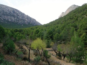 Hacia el barranco de las Brujas desde el valle de Leiva