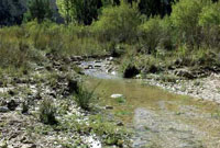 Recorriendo el río Alhárabe en Moratalla