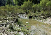 Recorriendo el ro Alhrabe en Moratalla