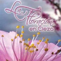 La Floración. Cieza. Programa de Actividades La Floración. Cieza. Programa de Actividades