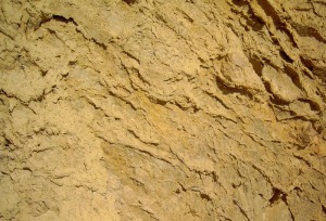 Detalle de las margas limoarenosas miocenas. Las fracturas que se observan están rellenas de yesos reprecipitados [Bolnuevo]