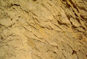 Detalle de las margas limoarenosas miocenas. Las fracturas que se observan estn rellenas de yesos reprecipitados [Bolnuevo]