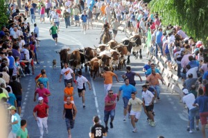 Encierros de Moratalla