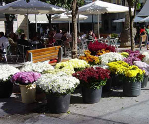 Festividad de Todos Los Santos