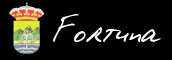 Banner de Fortuna