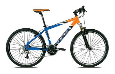 Bicicleta de Montaa Orbea Replay